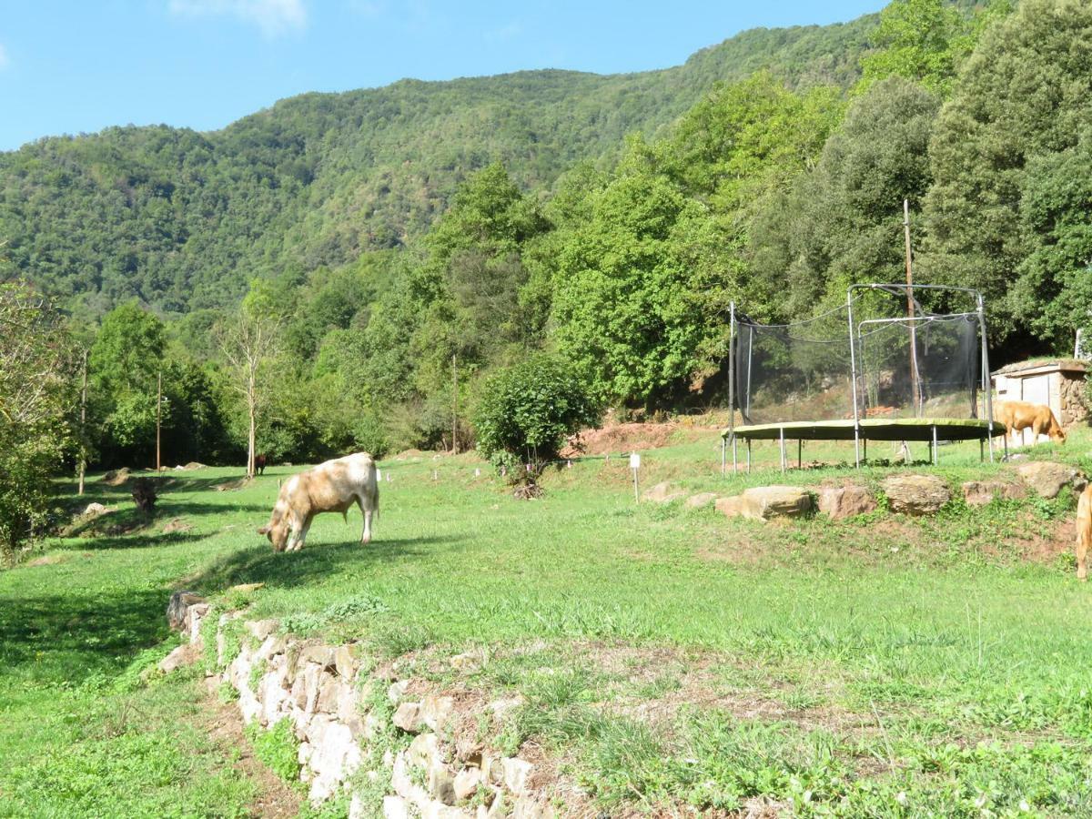 Riudaura La Cabana Del Moli De La Plana מראה חיצוני תמונה